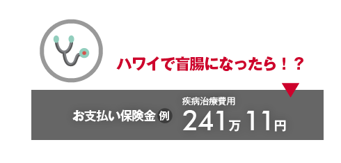 ハワイで盲腸になったら