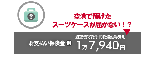 空港で預けたスーツケースが届かない